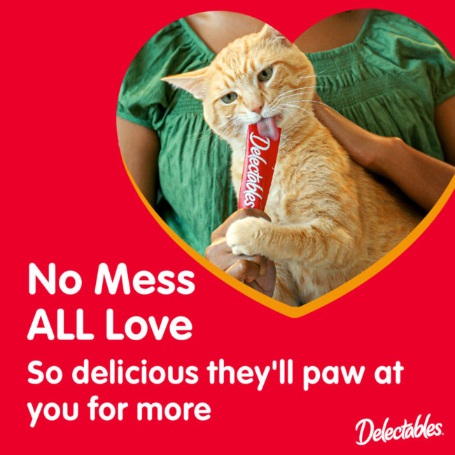 Delectables Squeeze Up cat treats. No Mess All Love.