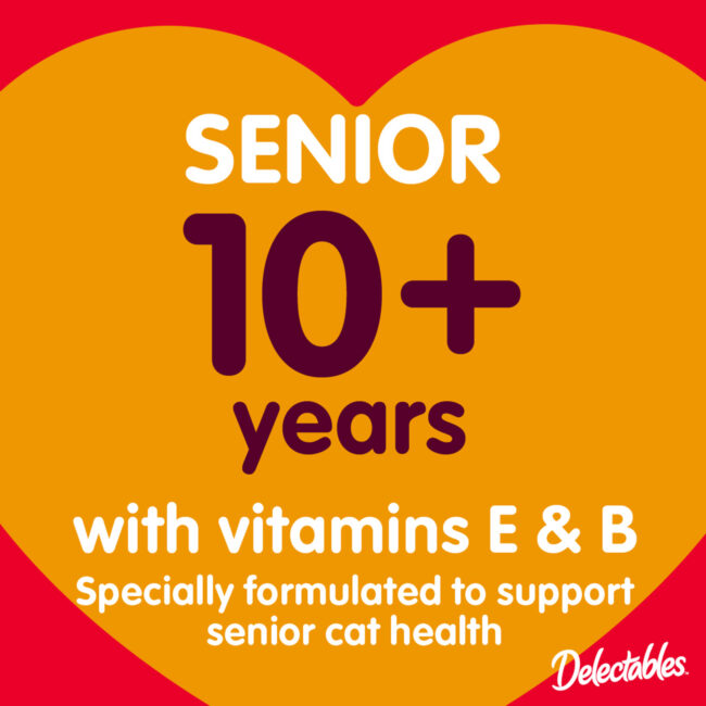 senior 10+ years with vitamins E& B