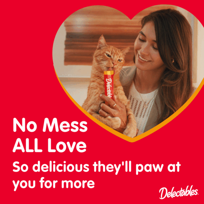 No mess all love