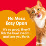 Orange cat with no mess information