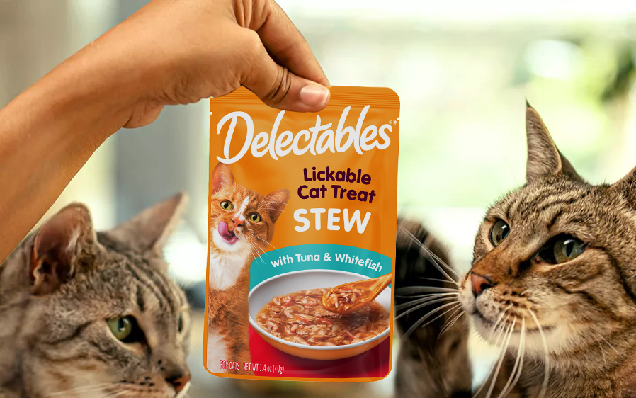 Cats crave Lickable cat treats
