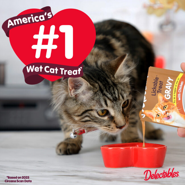 America's #1 wet cat treat