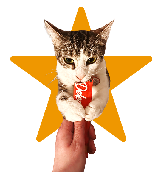 A cat eating a Delectables squeeze up surrounded by a star