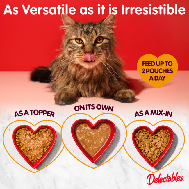 Delectables Chicken Gravy Versatile as it is irresistible