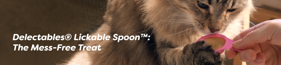 Delectables® Lickable Spoon™: The Mess-Free Treat